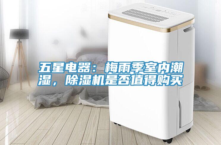 五星電器：梅雨季室內潮濕，91看片软件大全是否值得購買