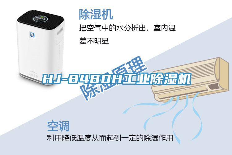 HJ-8480H工業91看片软件大全