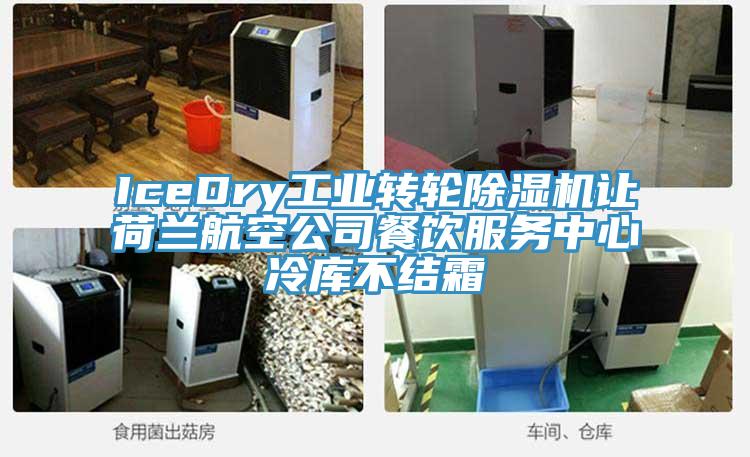 IceDry工業轉輪91看片软件大全讓荷蘭航空公司餐飲服務中心冷庫不結霜