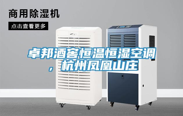 卓邦酒窖恒溫恒濕空調，杭州鳳凰山莊