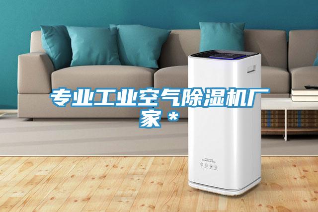 專業工業空氣91看片软件大全廠家＊