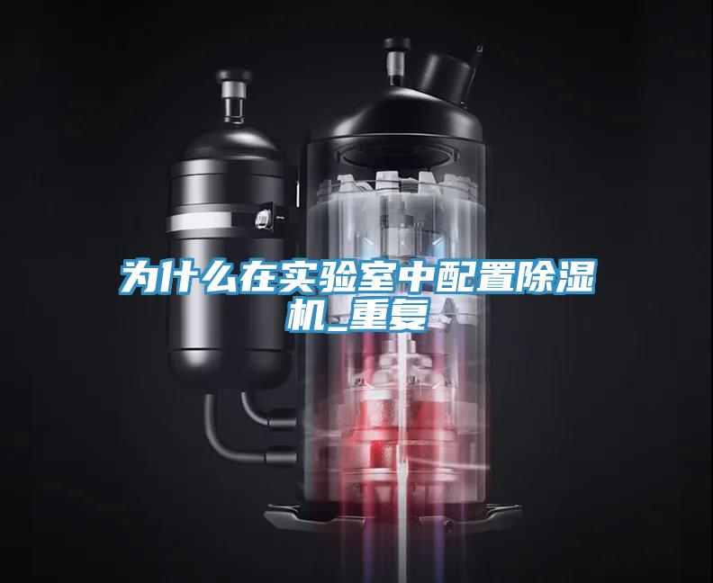 為什麽在實驗室中配置91看片软件大全_重複