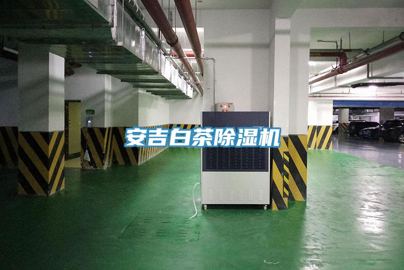 安吉白茶91看片软件大全