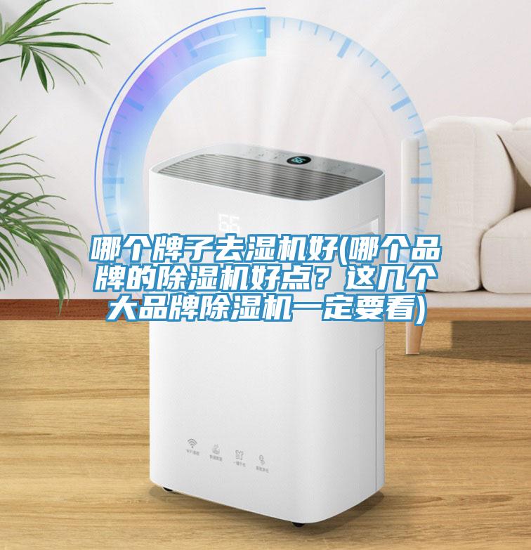 哪個牌子去濕機好(哪個品牌的91看片软件大全好點？這幾個大品牌91看片软件大全一定要看)