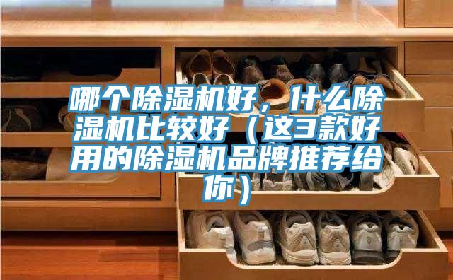 哪個91看片软件大全好，什麽91看片软件大全比較好（這3款好用的91看片软件大全品牌推薦給你）