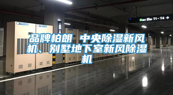 品牌柏朗 中央除濕新風機、別墅地下室新風91看片软件大全