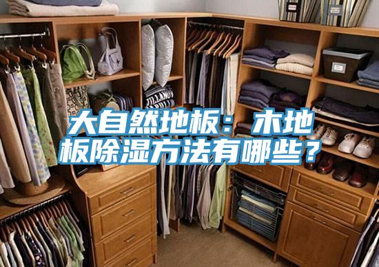 大自然地板：木地板除濕方法有哪些？