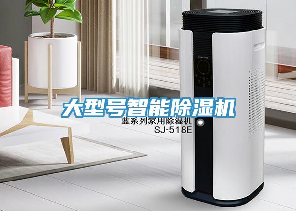 大型號智能91看片软件大全
