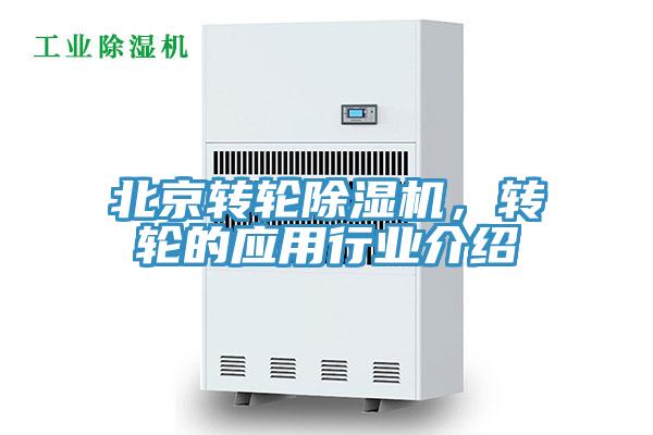 北京轉輪91看片软件大全，轉輪的應用行業介紹
