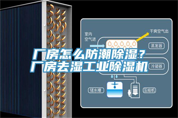 廠房怎麽防潮除濕？廠房去濕工業91看片软件大全