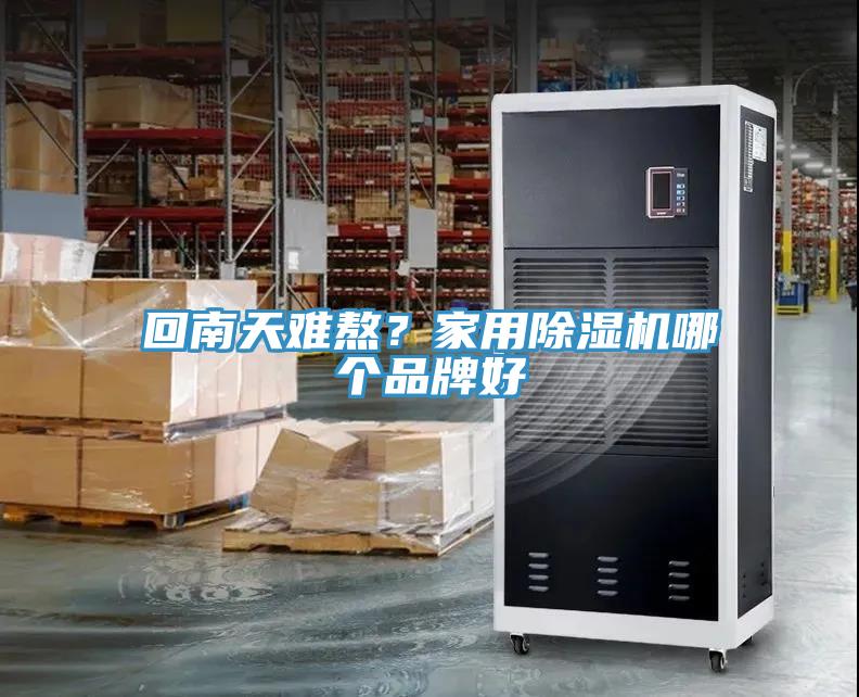 回南天難熬？家用91看片软件大全哪個品牌好