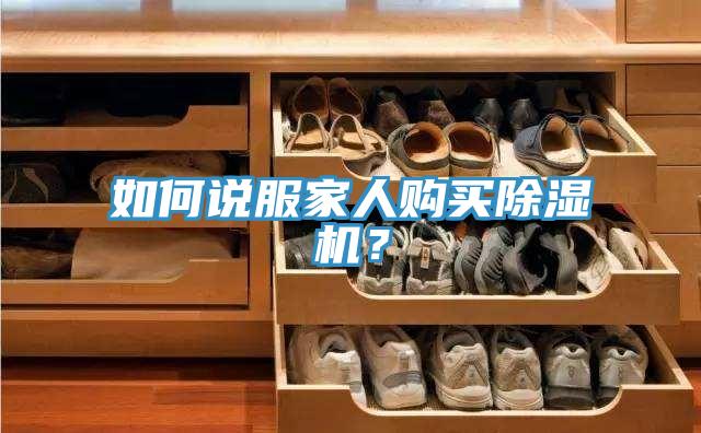 如何說服家人購買91看片软件大全？