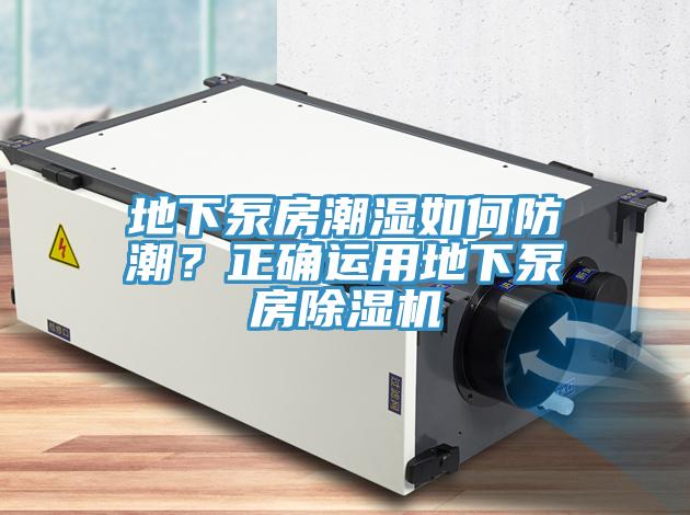 地下泵房潮濕如何防潮？正確運用地下泵房91看片软件大全