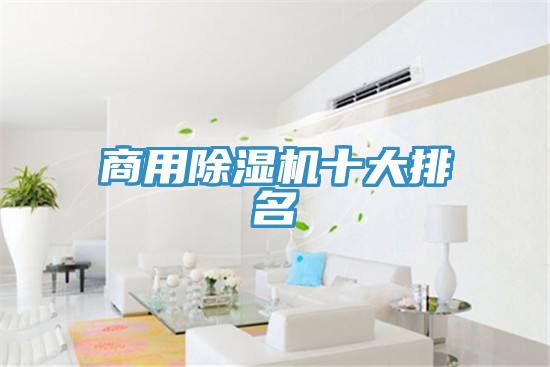 商用91看片软件大全十大排名