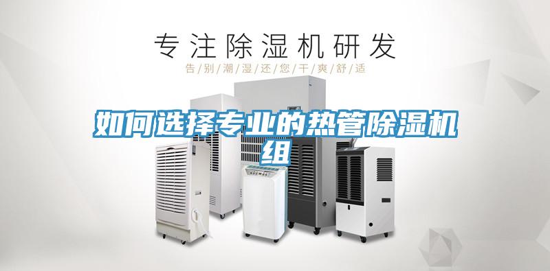 如何選擇專業的熱管91看片软件大全組