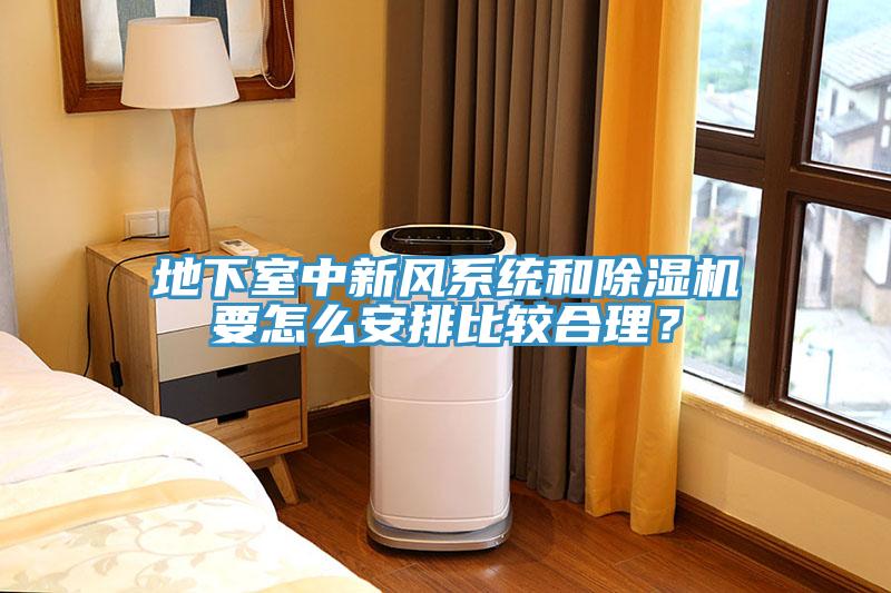 地下室中新風係統和91看片软件大全要怎麽安排比較合理？