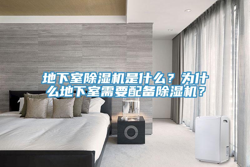 地下室91看片软件大全是什麽？為什麽地下室需要配備91看片软件大全？