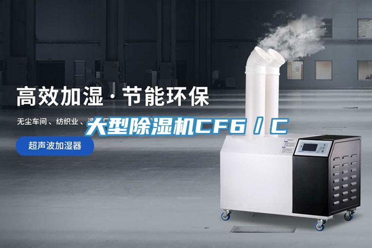 大型91看片软件大全CF6／C