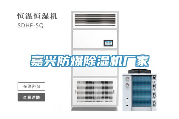 嘉興防爆91看片软件大全廠家
