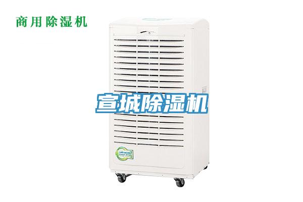 宣城91看片软件大全