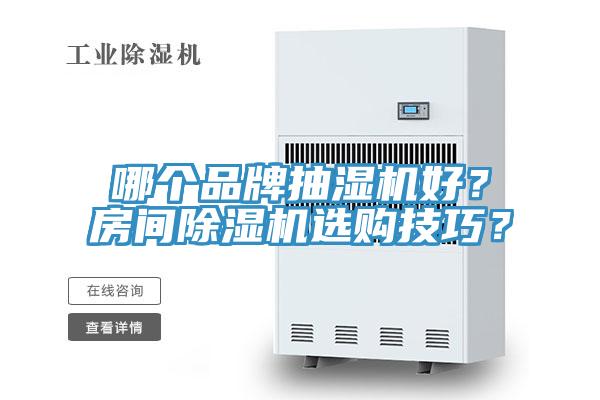 哪個品牌抽濕機好？房間91看片软件大全選購技巧？