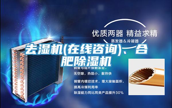 去濕機(在線谘詢)、合肥91看片软件大全