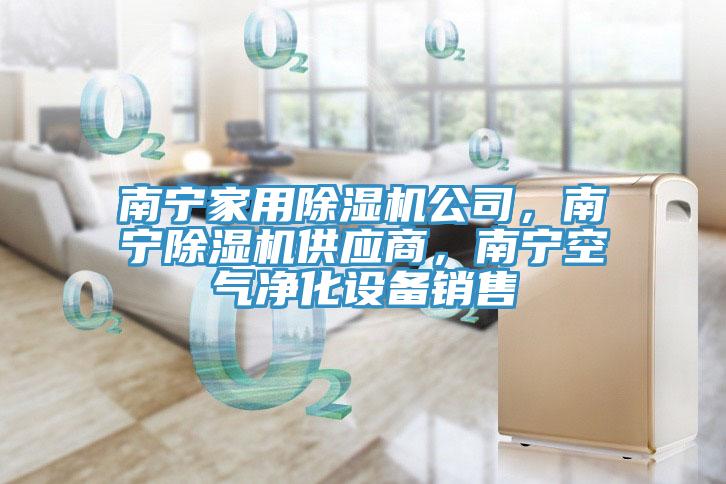 南寧家用91看片软件大全公司，南寧91看片软件大全供應商，南寧空氣淨化設備銷售