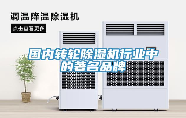 國內轉輪91看片软件大全行業中的著名品牌