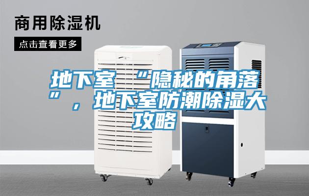 地下室≠“隱秘的角落”，地下室防潮除濕大攻略