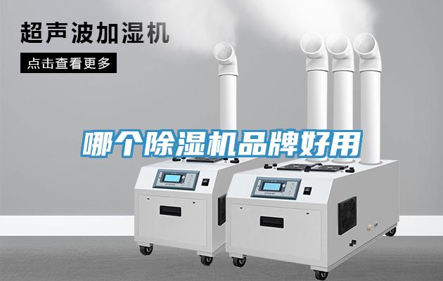 哪個91看片软件大全品牌好用