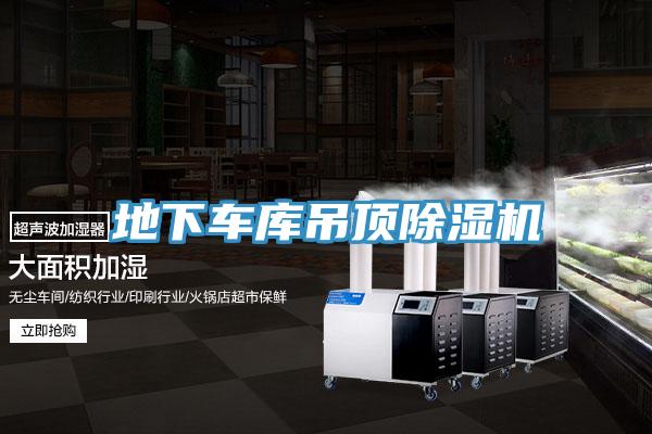 地下車庫吊頂91看片软件大全