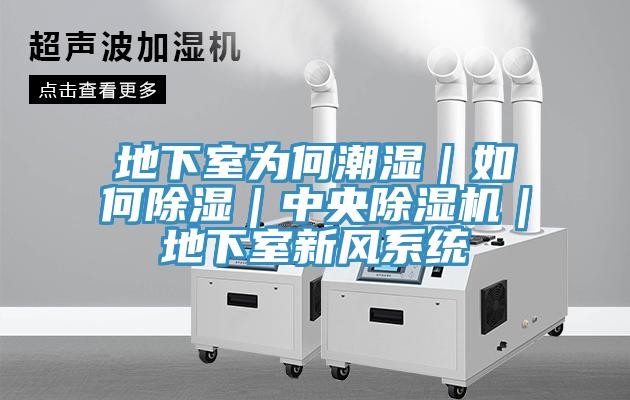 地下室為何潮濕｜如何除濕｜中央91看片软件大全｜地下室新風係統