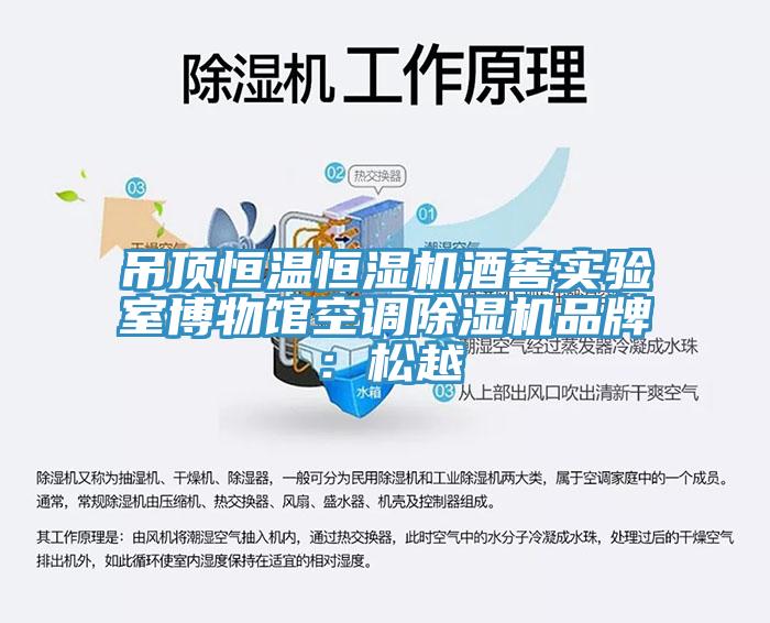 吊頂恒溫恒濕機酒窖實驗室博物館空調91看片软件大全品牌：鬆越