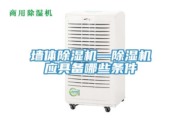 牆體91看片软件大全—91看片软件大全應具備哪些條件