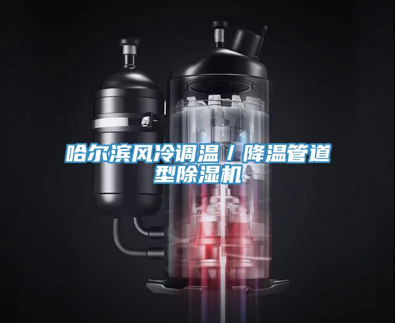 哈爾濱風冷調溫／降溫管道型91看片软件大全
