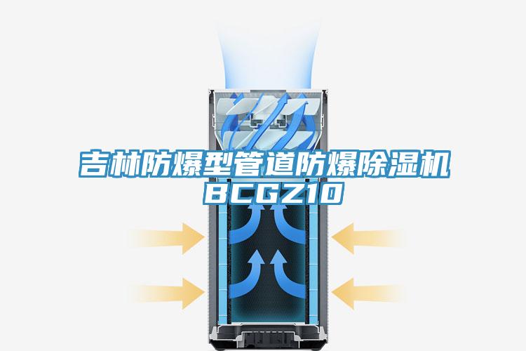 吉林防爆型管道防爆91看片软件大全 BCGZ10