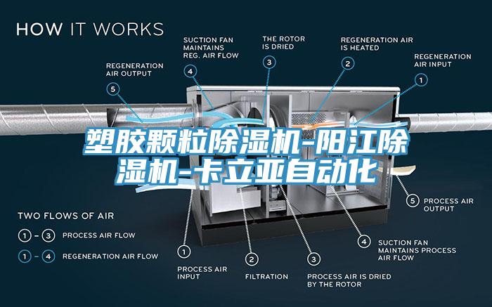 塑膠顆粒91看片软件大全-陽江91看片软件大全-卡立亞自動化