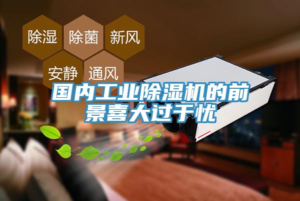 國內工業91看片软件大全的前景喜大過於憂