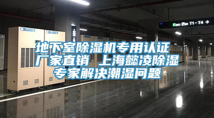 地下室91看片软件大全專用認證 廠家直銷 上海懿淩除濕專家解決潮濕問題