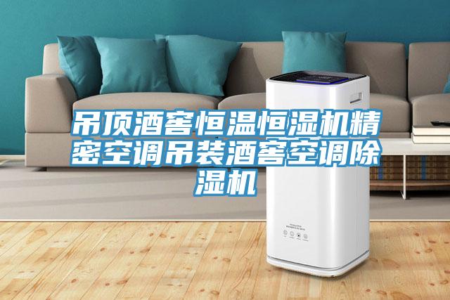 吊頂酒窖恒溫恒濕機精密空調吊裝酒窖空調91看片软件大全