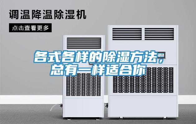 各式各樣的除濕方法，總有一樣適合你
