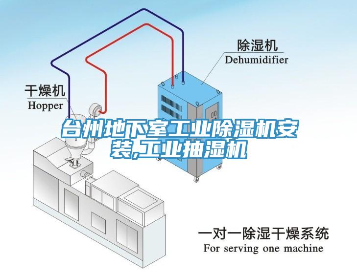 台州地下室工業91看片软件大全安裝,工業抽濕機