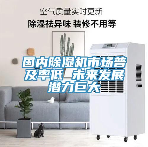 國內91看片软件大全市場普及率低 未來發展潛力巨大