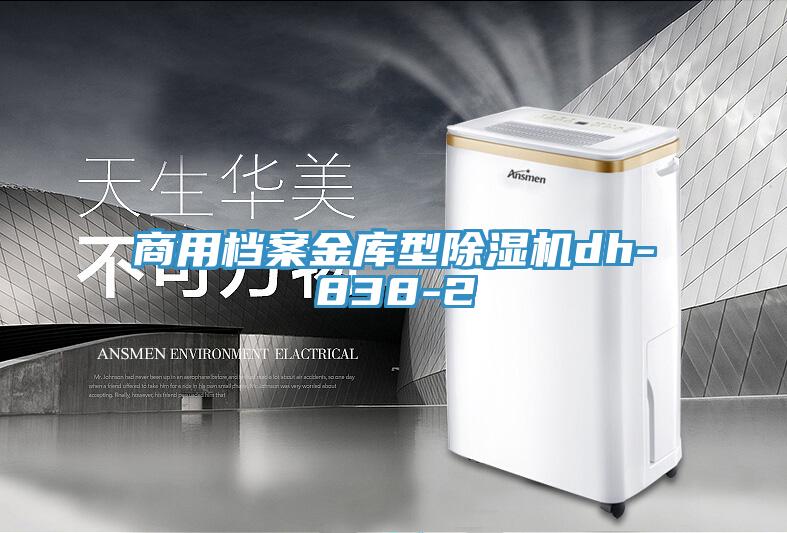 商用檔案金庫型91看片软件大全dh-838-2
