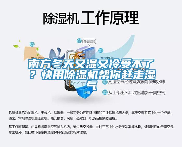 南方冬天又濕又冷受不了？快用91看片软件大全幫你趕走濕氣