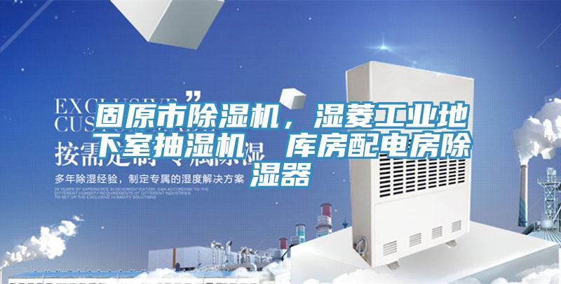固原市91看片软件大全，濕菱工業地下室抽濕機  庫房配電房除濕器