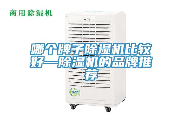 哪個牌子91看片软件大全比較好—91看片软件大全的品牌推薦