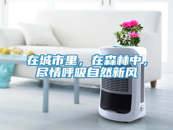 在城市裏，在森林中，盡情呼吸自然新風