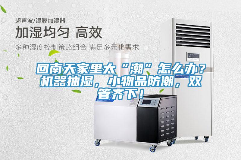 回南天家裏太“潮”怎麽辦？機器抽濕，小物品防潮，雙管齊下！