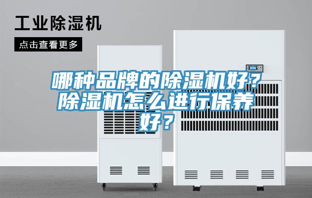 哪種品牌的91看片软件大全好？91看片软件大全怎麽進行保養好？